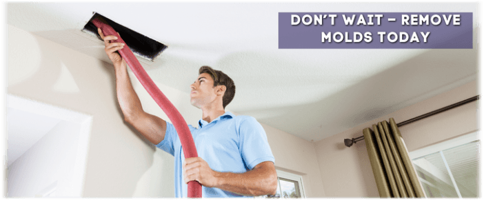 Air Duct Mold Removal in San Francisco